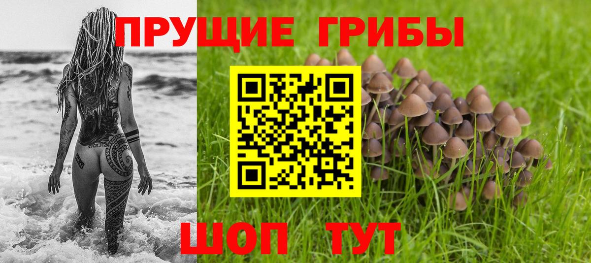 Псилоцибиновые грибы Красноуфимск